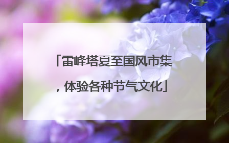 雷峰塔夏至国风市集，体验各种节气文化