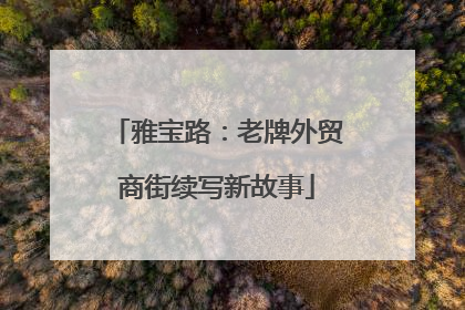 雅宝路：老牌外贸商街续写新故事
