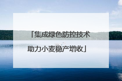 集成绿色防控技术助力小麦稳产增收