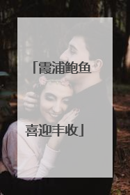 霞浦鲍鱼喜迎丰收