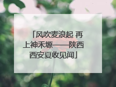 风吹麦浪起 再上神禾塬——陕西西安夏收见闻