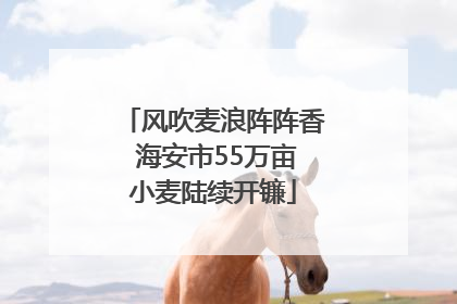 风吹麦浪阵阵香 海安市55万亩小麦陆续开镰