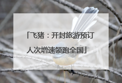飞猪：开封旅游预订人次增速领跑全国