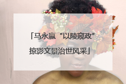 马永嬴“以陵窥政” 掠影文景治世风采