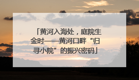 黄河入海处，庭院生金时——黄河口畔“归寻小院”的振兴密码