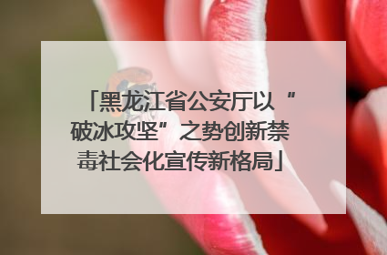 黑龙江省公安厅以“破冰攻坚”之势创新禁毒社会化宣传新格局