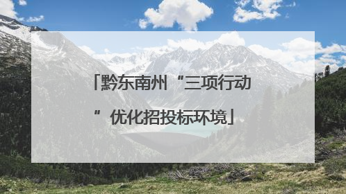 黔东南州“三项行动”优化招投标环境