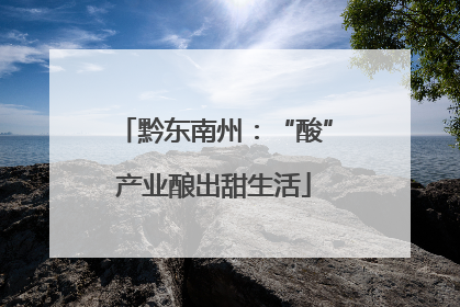 黔东南州：“酸”产业酿出甜生活