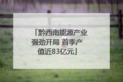 黔西南能源产业强劲开局 首季产值近83亿元