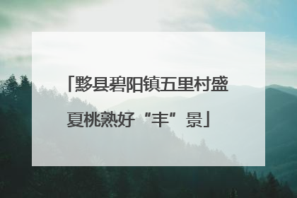 黟县碧阳镇五里村盛夏桃熟好“丰”景
