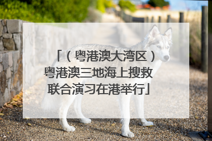 （粤港澳大湾区）粤港澳三地海上搜救联合演习在港举行