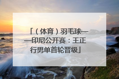 （体育）羽毛球——印尼公开赛：王正行男单首轮晋级
