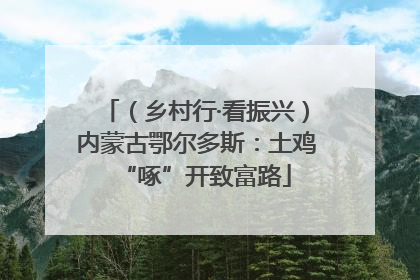 （乡村行·看振兴）内蒙古鄂尔多斯：土鸡“啄”开致富路
