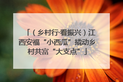 （乡村行·看振兴）江西安福“小西瓜”撬动乡村共富“大支点”