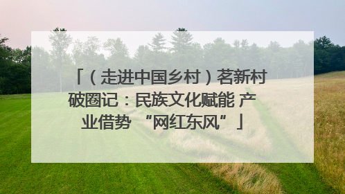 （走进中国乡村）茗新村破圈记：民族文化赋能 产业借势 “网红东风”