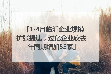 1-4月临沂企业规模扩张提速，过亿企业较去年同期增加55家