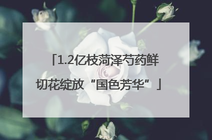 1.2亿枝菏泽芍药鲜切花绽放“国色芳华”