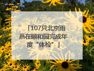 107只北京雨燕在颐和园完成年度“体检”