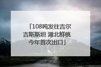 108吨发往吉尔吉斯斯坦 湖北鲜桃今年首次出口