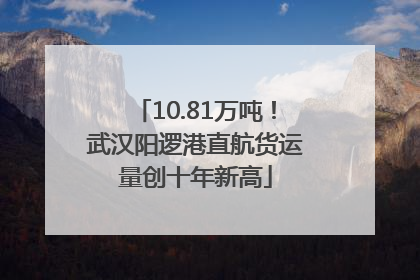 10.81万吨！武汉阳逻港直航货运量创十年新高