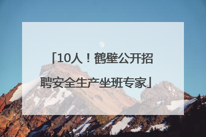 10人！鹤壁公开招聘安全生产坐班专家