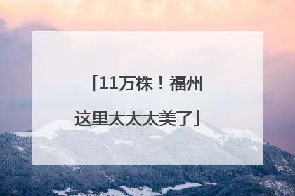11万株！福州这里太太太美了