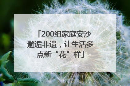 200组家庭安沙邂逅非遗，让生活多点新“花”样