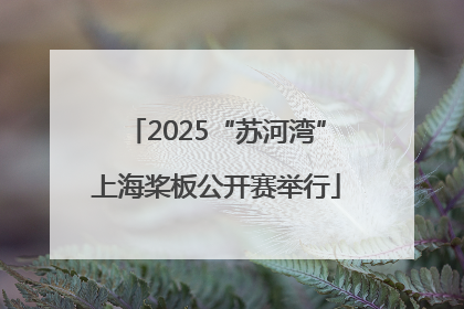 2025“苏河湾”上海桨板公开赛举行