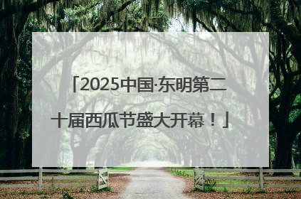 2025中国·东明第二十届西瓜节盛大开幕！