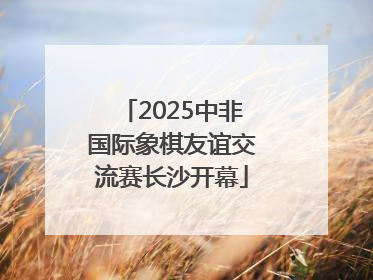 2025中非国际象棋友谊交流赛长沙开幕