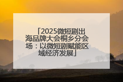 2025微短剧出海品牌大会桐乡分会场：以微短剧赋能区域经济发展