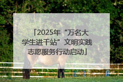 2025年“万名大学生进千站”文明实践志愿服务行动启动
