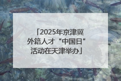 2025年京津冀外籍人才“中国日”活动在天津举办