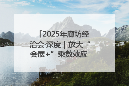 2025年廊坊经洽会·深度｜放大“会展+”乘数效应 打造消费新场景