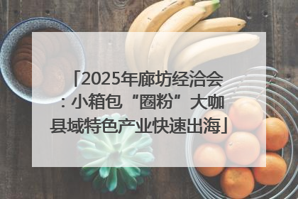 2025年廊坊经洽会：小箱包“圈粉”大咖 县域特色产业快速出海