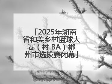 2025年湖南省和美乡村篮球大赛（村 BA）郴州市选拔赛闭幕