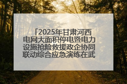 2025年甘肃河西电网大面积停电暨电力设施抢险救援政企协同联动综合应急演练在武威成功举行