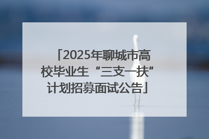 2025年聊城市高校毕业生“三支一扶”计划招募面试公告