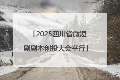 2025四川省微短剧剧本创投大会举行