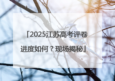 2025江苏高考评卷进度如何？现场揭秘
