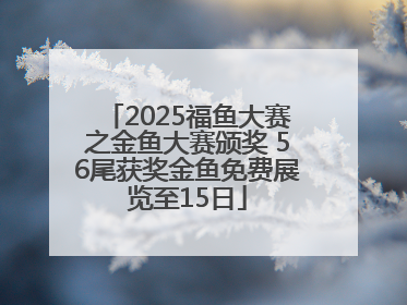 2025福鱼大赛之金鱼大赛颁奖 56尾获奖金鱼免费展览至15日