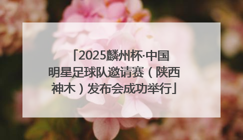 2025麟州杯·中国明星足球队邀请赛（陕西神木）发布会成功举行