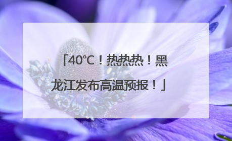 40℃！热热热！黑龙江发布高温预报！