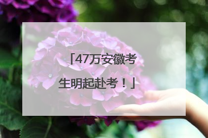 47万安徽考生明起赴考！
