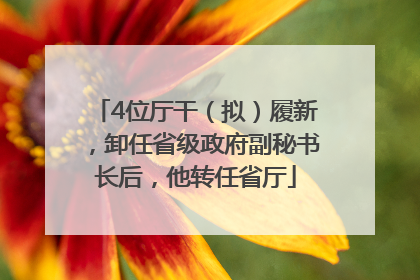 4位厅干（拟）履新，卸任省级政府副秘书长后，他转任省厅