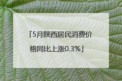 5月陕西居民消费价格同比上涨0.3%