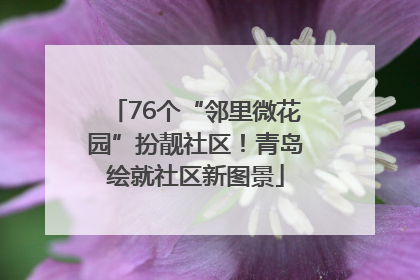 76个“邻里微花园”扮靓社区！青岛绘就社区新图景