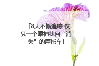 8天不懈追踪 仅凭一个眼神找回“消失”的摩托车