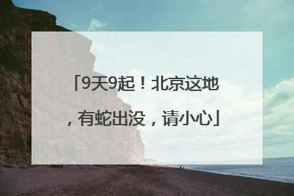 9天9起！北京这地，有蛇出没，请小心