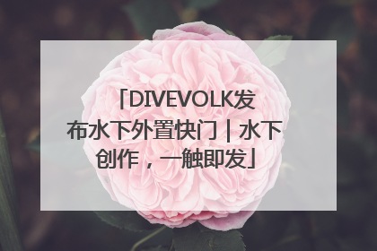 DIVEVOLK发布水下外置快门｜水下创作，一触即发